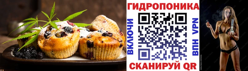 МЕГА ТОР  Балахна  Cannafood конопля 